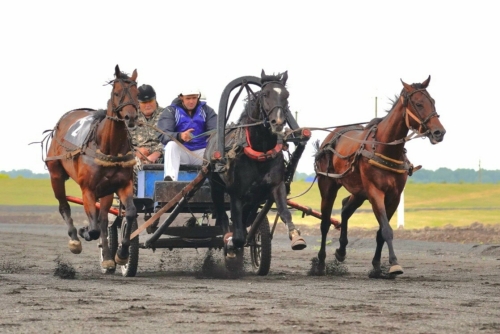 Кемерово Сабан туе губернатор призына ат чабышлары белән башланды