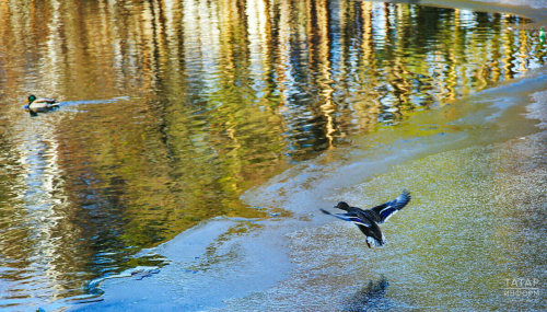 Татарстанда ял көннәрендә аномаль салкыннар булачак