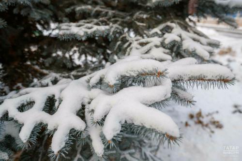 Татарстанда кар, томан һәм -17 градуска кадәр салкын булуы көтелә