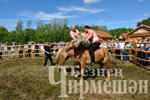 Чирмешәндә борынгы спорт төре «Аударыш»ны яңарттылар