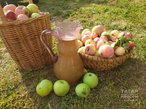 Азнакайда «Алма спасы» бәйрәме уздырыла