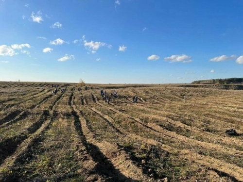 Әлмәт кешеләрен агач утыртырга чакыралар