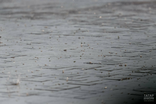 Татарстанда бүген яңгыр һәм томан фаразлана