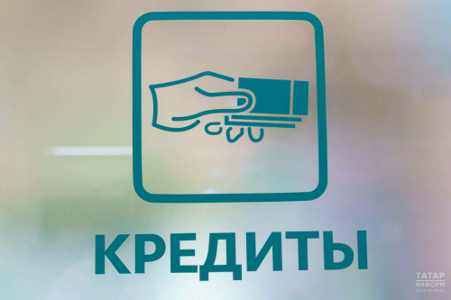 Думада декреттагы хатын-кызлар өчен кредит буенча штрафларны бетерергә тәкъдим иттеләр