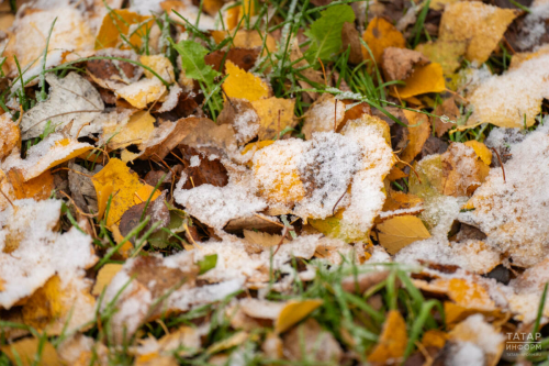 Татарстанда декабрь башында һава температурасы нормадан 8-10 градуска югарырак була