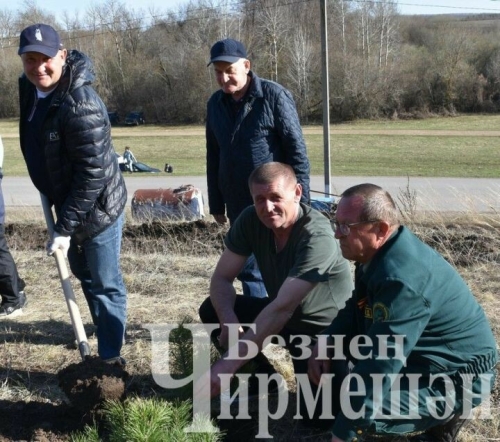 Чирмешәнлеләр себер наратларыннан «Победа» сүзен язды