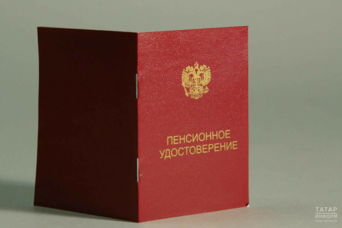 Туендыручысын югалту буенча дәүләт пенсиясе кемнәргә билгеләнүе турында сөйләделәр