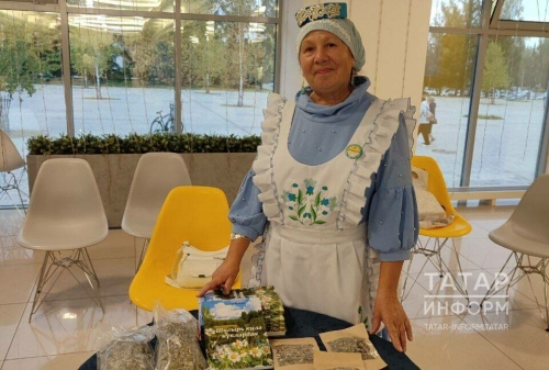 Түбән Кама шагыйрәсе Рәмзия Вәлиева әдәби һәм милли мохитнең шәһәрдә югары булуын әйтте