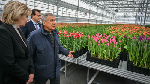 Миңнеханов «Шәһәрне төзекләндерү»нең яңа базасын һәм «Горводзеленхоз» теплицасын карады