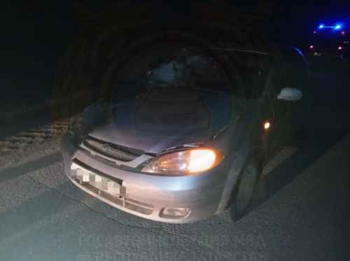 Зәй районында олы яшьтәге машина йөртүче юлда хатын-кызны бәрдереп үтергән