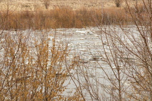 Синоптик Шувалов: Яз иртә килгән очракта ташу бик көчле булачак