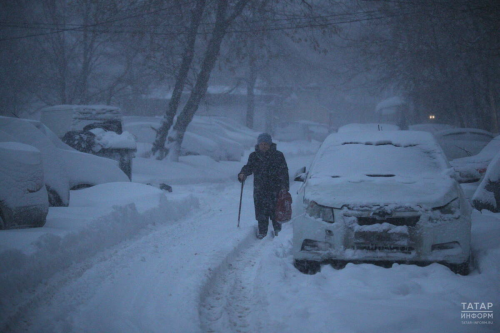 Татарстанда төнге салкыннардан соң -4 градуска кадәр җылыта