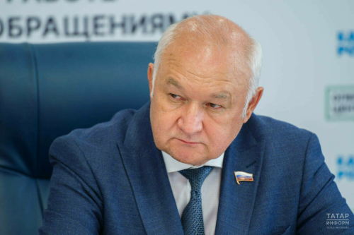 Илдар Гыйльметдинов: I сыйныфта туган телне укытуны кыскарту тәкъдиме белән килешмим