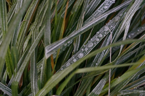 Татарстанда атна ахырына кадәр салкын һава торышы саклана