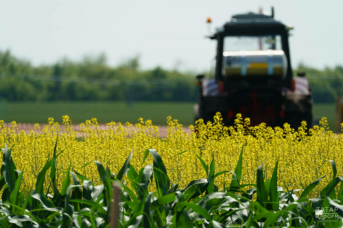 Татарстанда агросәнәгать комплексының мәгълүмат системасын яңартуга 27 млн сум юнәлдерелә