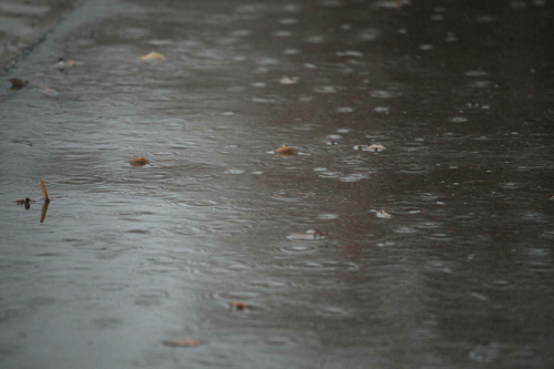 Татарстанда яңгыр явуы һәм +13 градуска кадәр җылы булуы көтелә