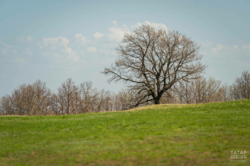 Татарстан халкын апрельдә кыска эш атнасы көтә
