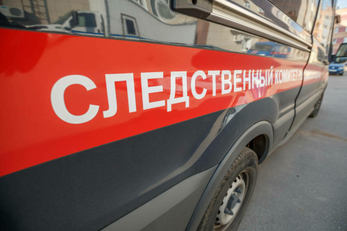 Түбән Камада 12 яшьлек кызга һөҗүм иткән бультерьерның хуҗасы ачыкланган