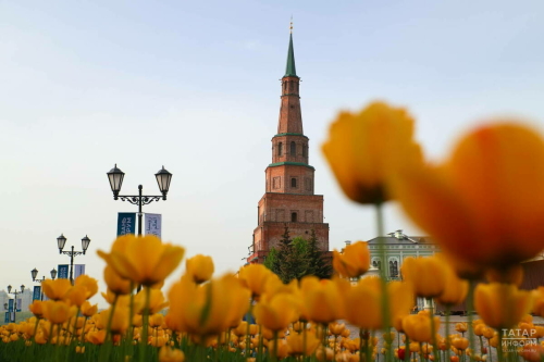 Татарстанда бүген явым-төшем көтелми, температура +31 градуска кадәр күтәрелә