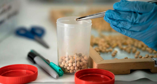 Кытай Татарстан авыл хуҗалыгы продукциясен сатып алуны арттыра