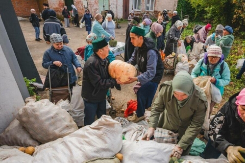 Татарстанда гошер җыю кампаниясе башланды