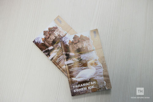 Нәбирә Гыйматдинованың «Уйламаган көнем юк» китабы басылды