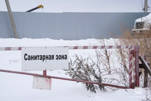 Кош гриппы табылган Тукай районындагы Калмаш авылыннан фоторепортаж