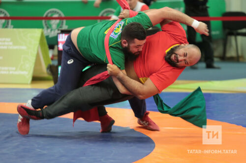 Муса Җәлил истәлегенә көрәш турниры ачылу тантанасыннан фоторепортаж