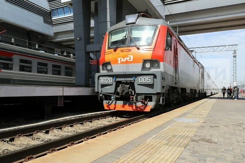 Хайваннар өчен поездларга электрон билетлар сатыла башлады  