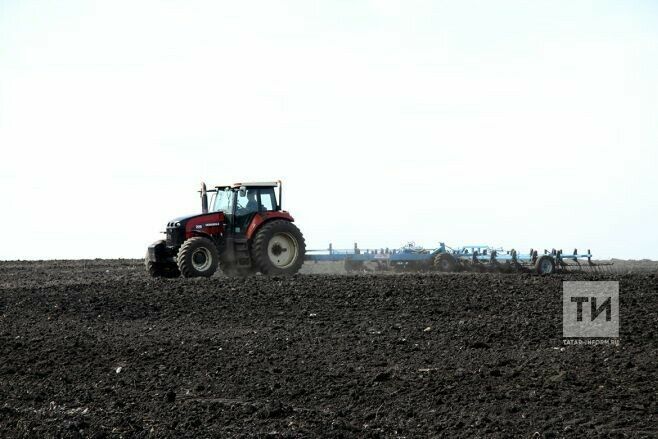 Татарстанда язгы чәчү 108,1 мең гектарда башкарылган