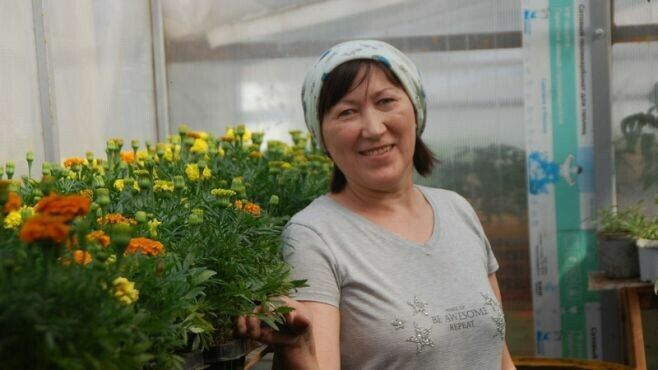 Зәйдә Әлмиевлар хуҗалыгында чәчәкләр үстерәләр