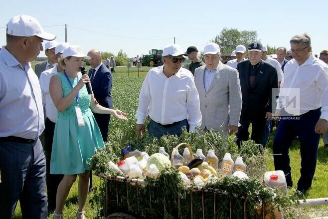 Сөт продукциясенең чын составын смартфон аша ачыклый торган сылтама тәкъдим ителде