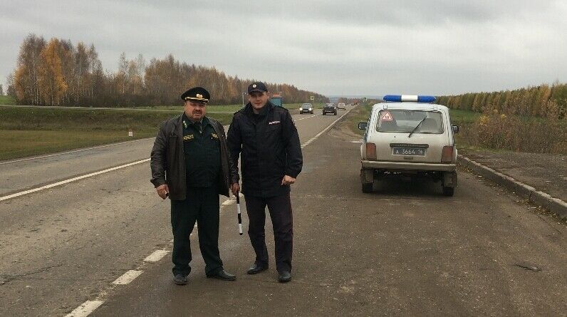 Татарстанда "Агач ташучы машина" операциясе дәвам итә