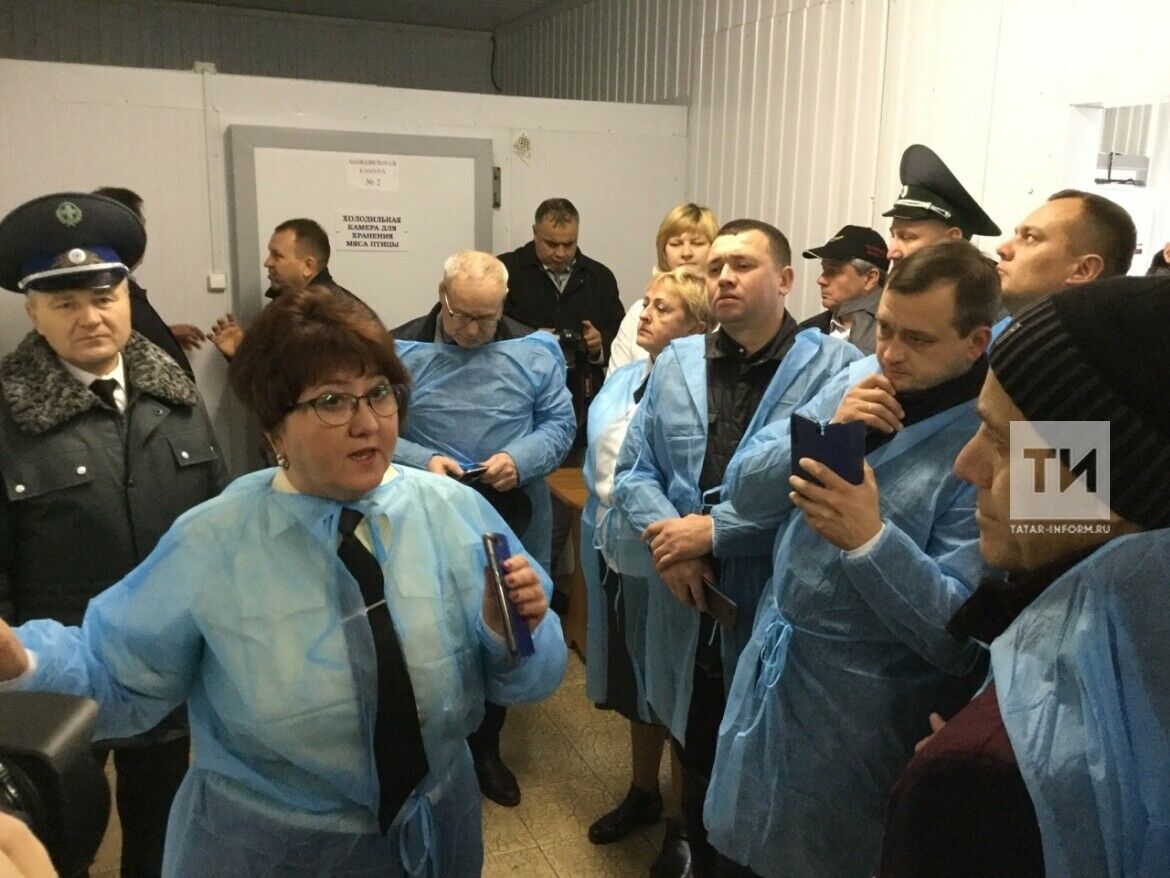Алексеевскида мәктәп-бакчаларга итне цехтан төргәкләп озата башладылар