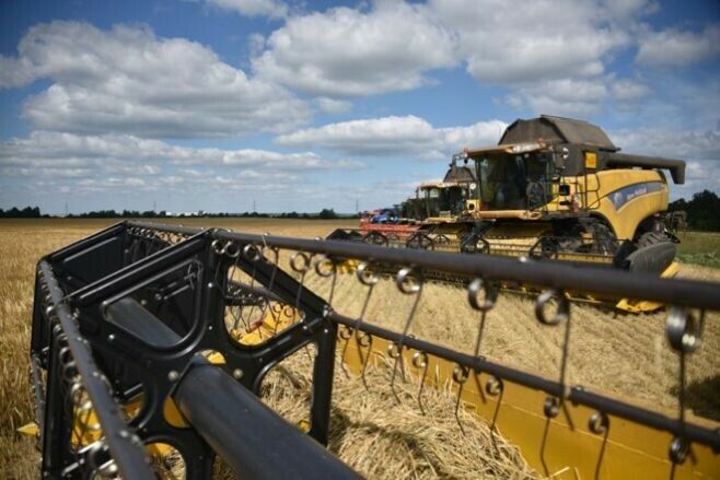 Түбән Кама авыл хуҗалыгы тармагында еллык керем күләме өч миллиард сум тәшкил иткән