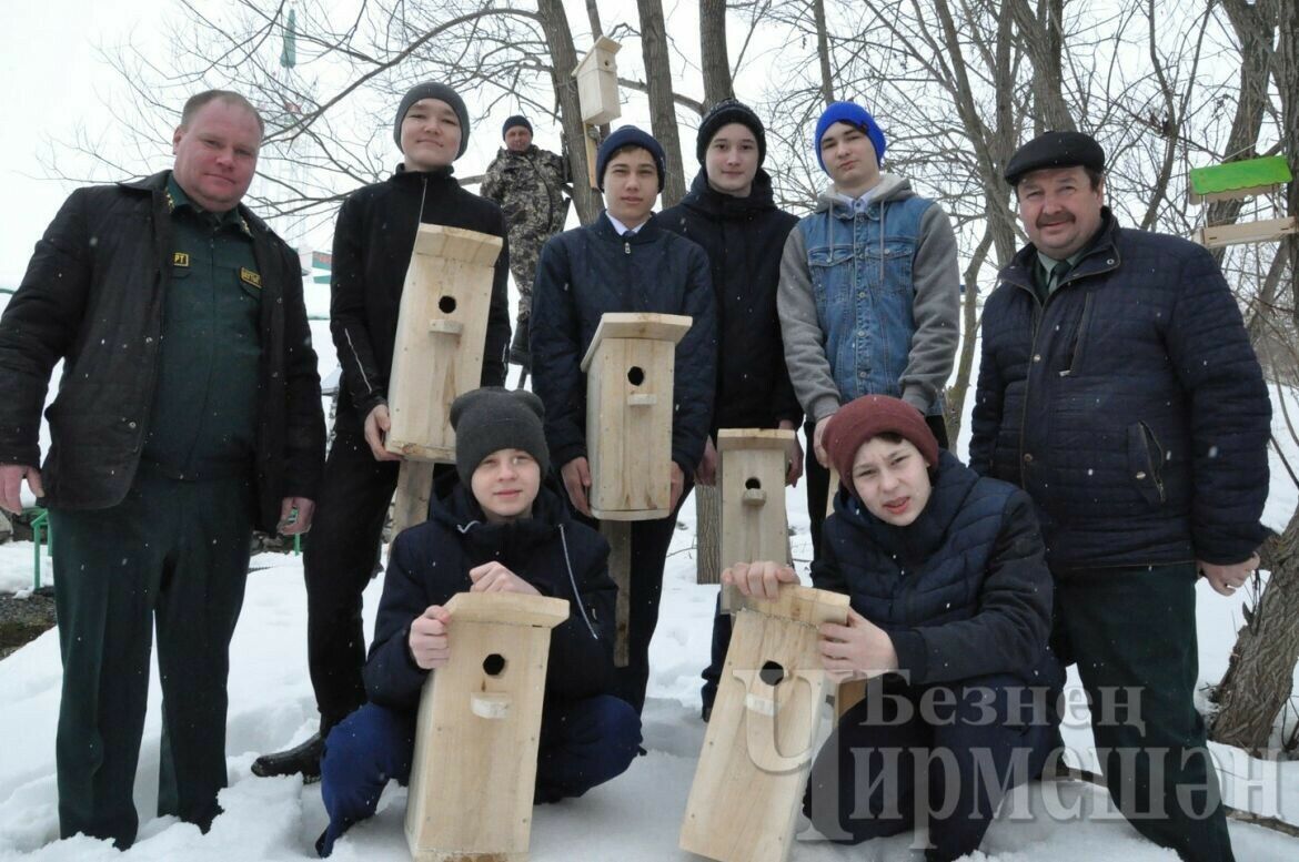 Чирмешән районында сыерчыкларга егерме оя куйганнар