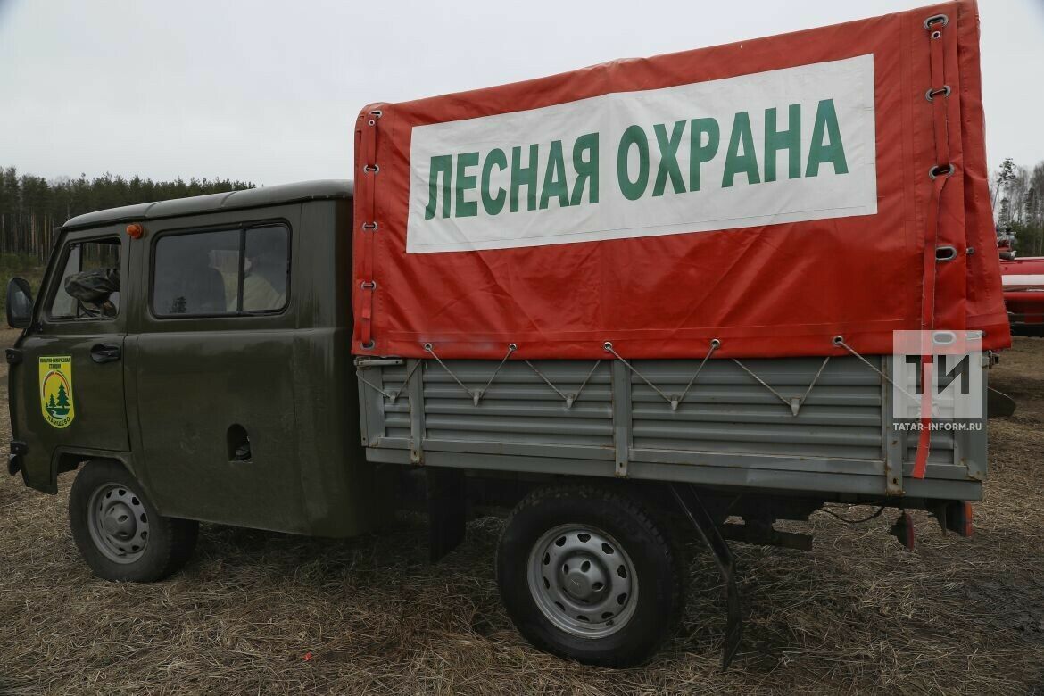 Татарстанда урман янгыны турында хәбәр итү өчен махсус телефон эшли