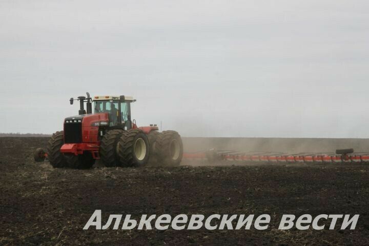 Әлки районы сабан культуралары чәчү планын тулысынча үтәгән