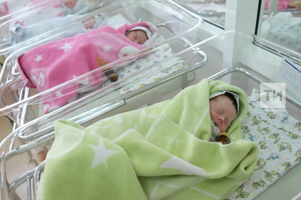 Әлмәтлеләр үз балаларына Хәмидә һәм Эрика дигән исемнәр кушкан