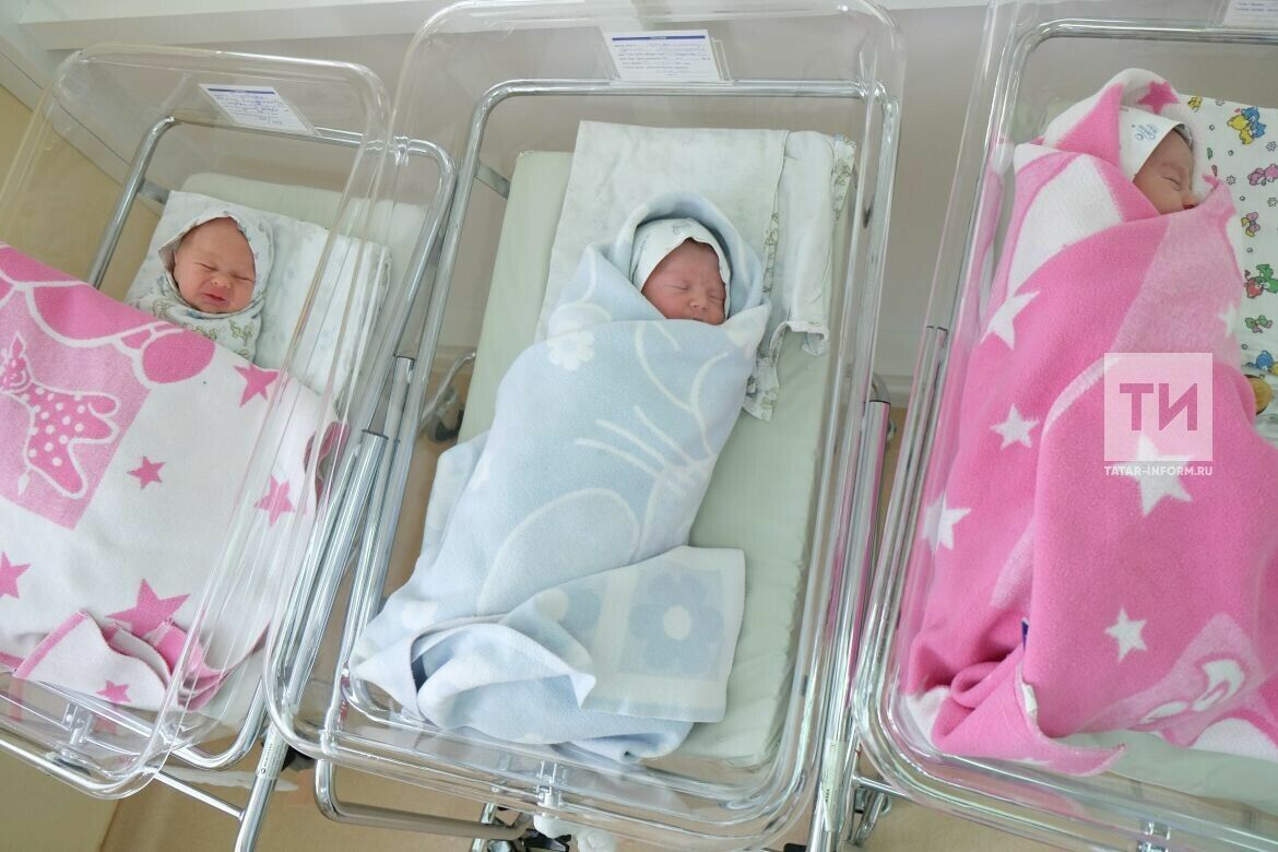 Түбән Кама туучылар саны буенча республикада дүртенче урында тора