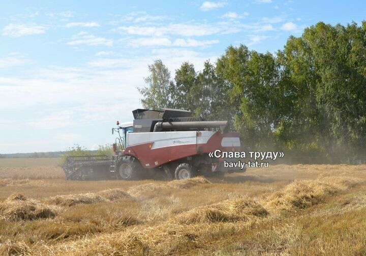 Баулыда ашлыкның 6 процентын суктырасы калган