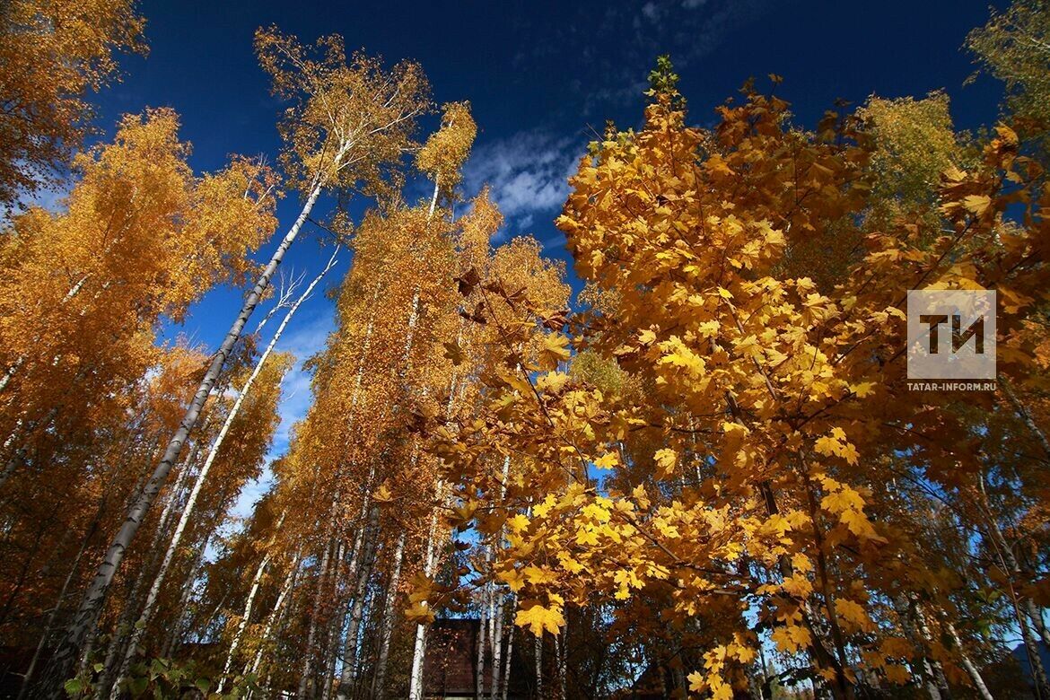 Киләсе атна башында Татарстанда җылы һава торышы сакланачак
 