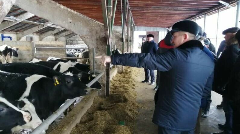 Биектау аграрийлары эре мөгезле терлекләр савымы буенча тәҗрибә уртаклашты