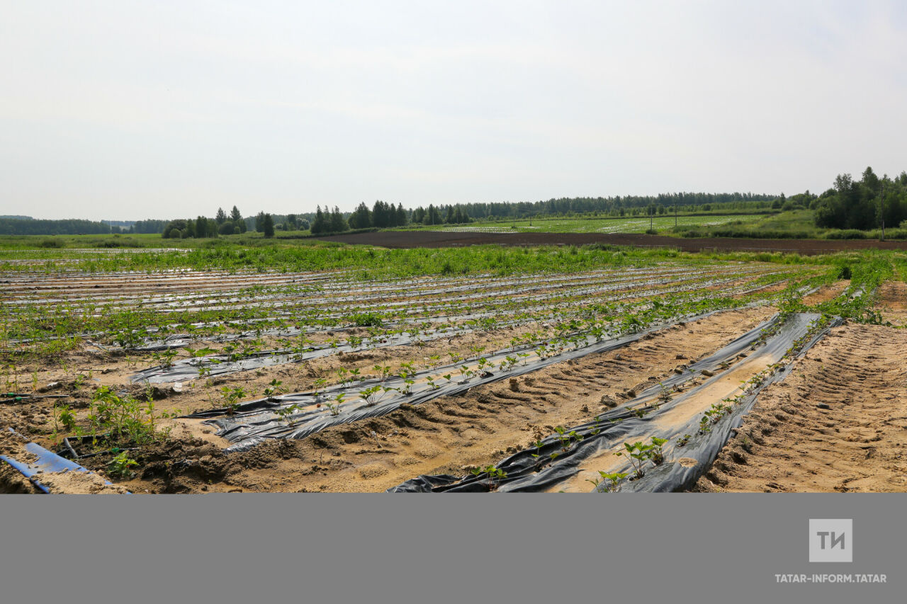 Авыл халкын «Авылда үз эшеңне ач – кыю бул!» проектына чакыралар