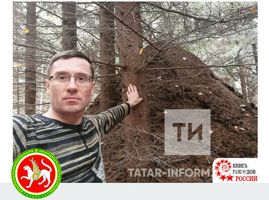 «Татар-информ» журналисты, иң зур кырмыска оясын табып, Россия рекорды теркәде
