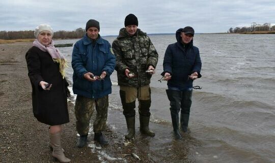 Алексеевск районында Чулман елгасына балыклар җибәрделәр