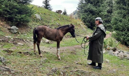 «Тарлан» («Алмачуар») фильмының беренче кадрлары журналистларга тәкъдим ителде 