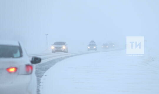 Тимур Әүһәдиев: Узган яллардагы явым-төшемнәр безне нормага якынайтты