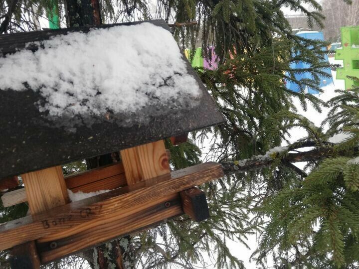 Әлмәт мөхтәсибәте кошларга җимлек ясау буенча бәйге игълан итә