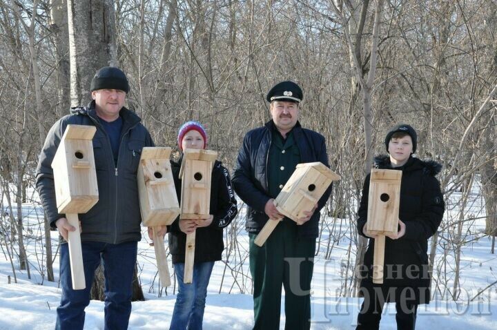 Чирмешәндә сыерчыкларга яңа оялар куйдылар